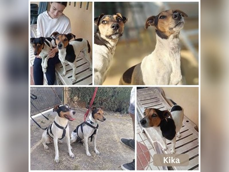 KIKA
