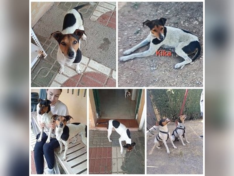 KIKA