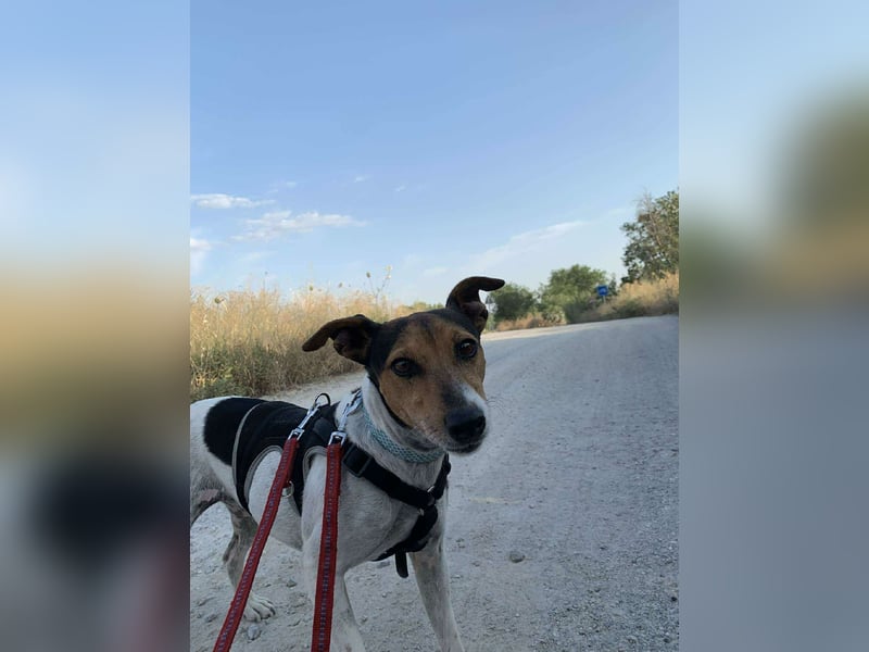 KIKA