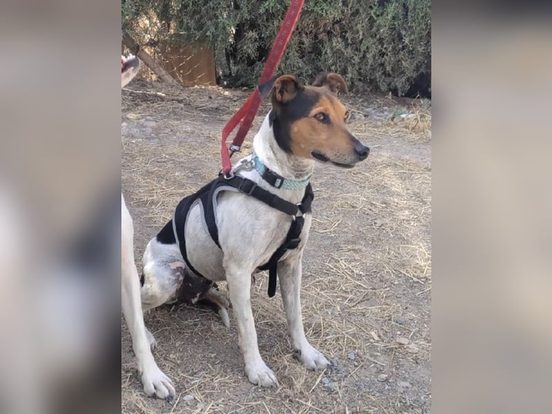 KIKA