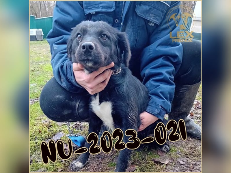 NU-2023-021 hofft auf Rettung
