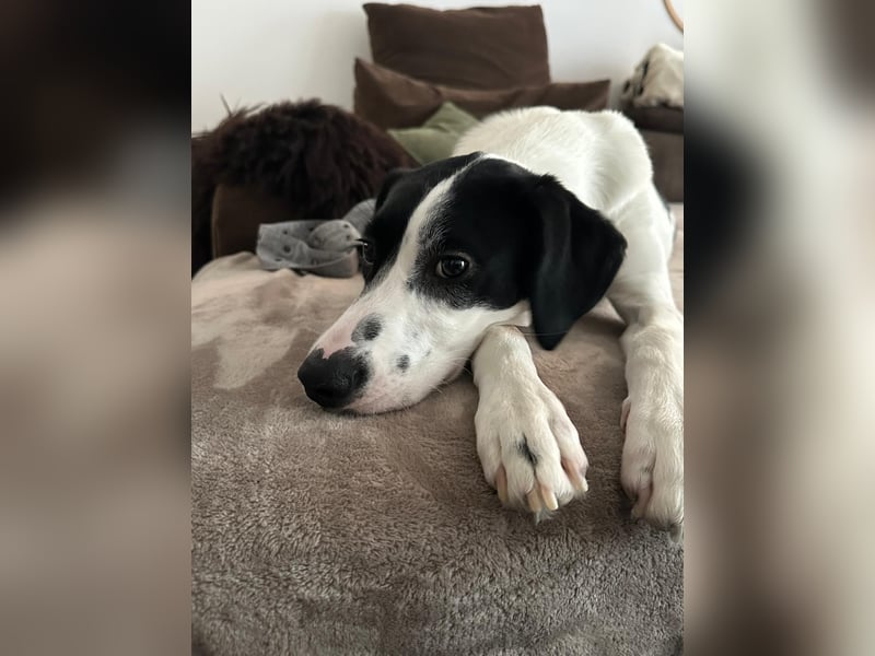 Josie möchte jetzt auch endlich ankommen
