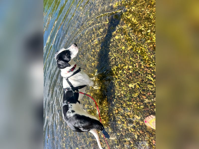 Josie möchte jetzt auch endlich ankommen