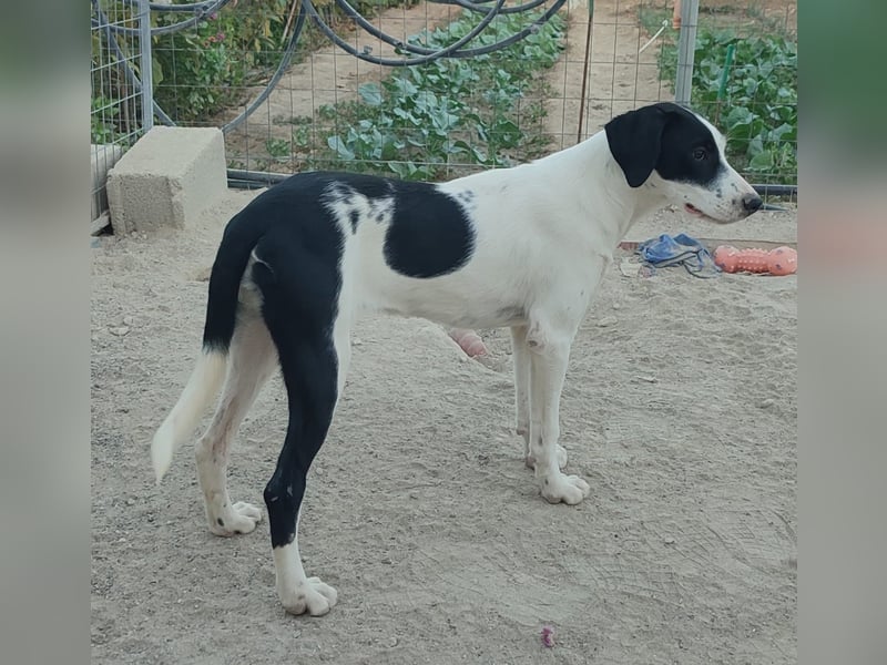 Josie möchte jetzt auch endlich ankommen