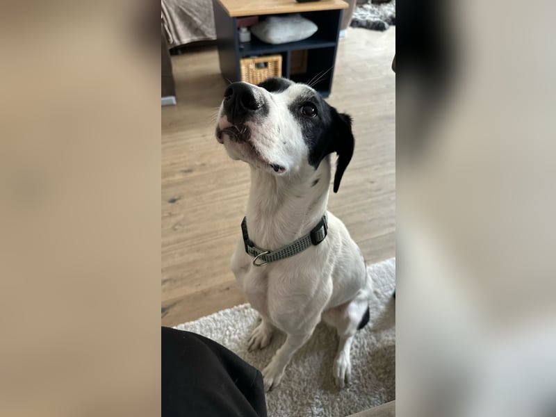Josie möchte jetzt auch endlich ankommen