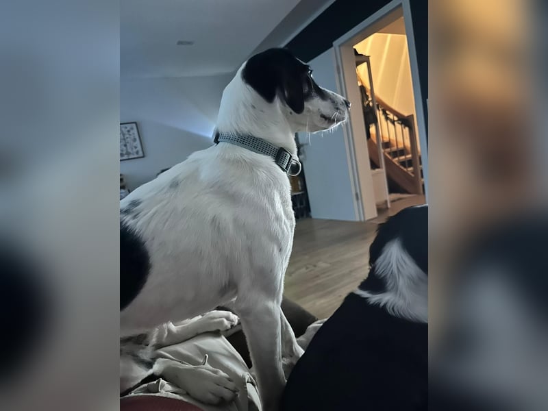 Josie möchte jetzt auch endlich ankommen
