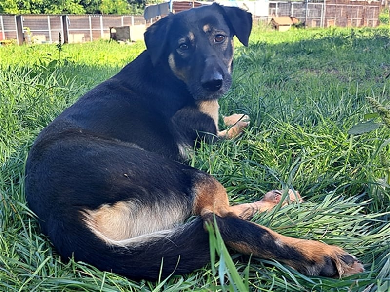 Sandy ( * 10.2020 ) sucht ihre Familie