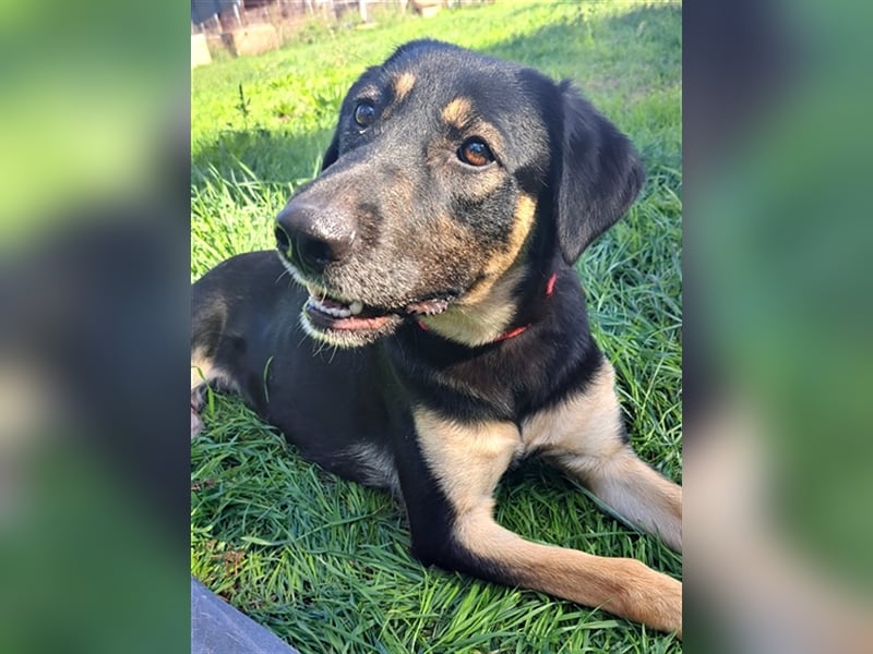 Sandy ( * 10.2020 ) sucht ihre Familie