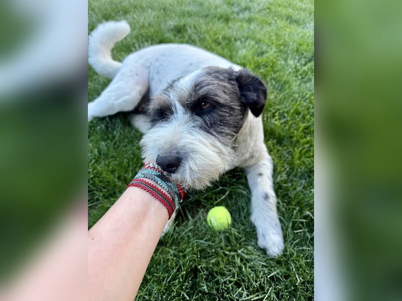 Die ganz süße Daisy sucht noch ihr eigenes Körbchen