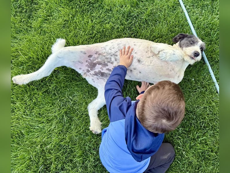 Die ganz süße Daisy sucht noch ihr eigenes Körbchen