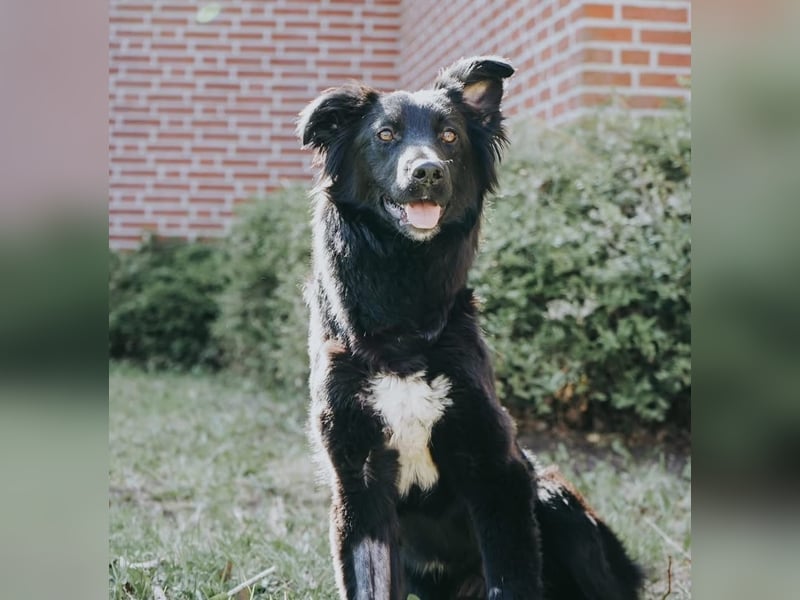 Wilma