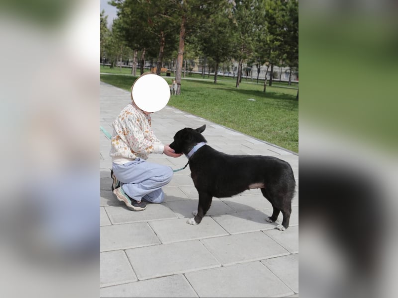Glascha, eine kleine Fellnase auf der Suche nach Vertrauen