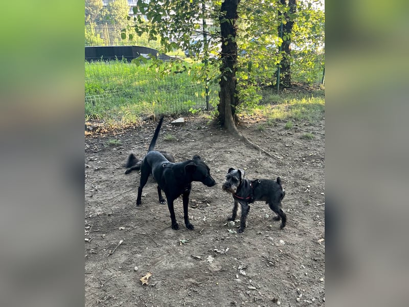 Wunderschöne Mai sucht ihre Familie