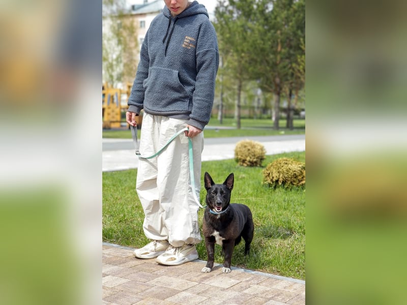 Glascha, eine kleine Fellnase auf der Suche nach Vertrauen
