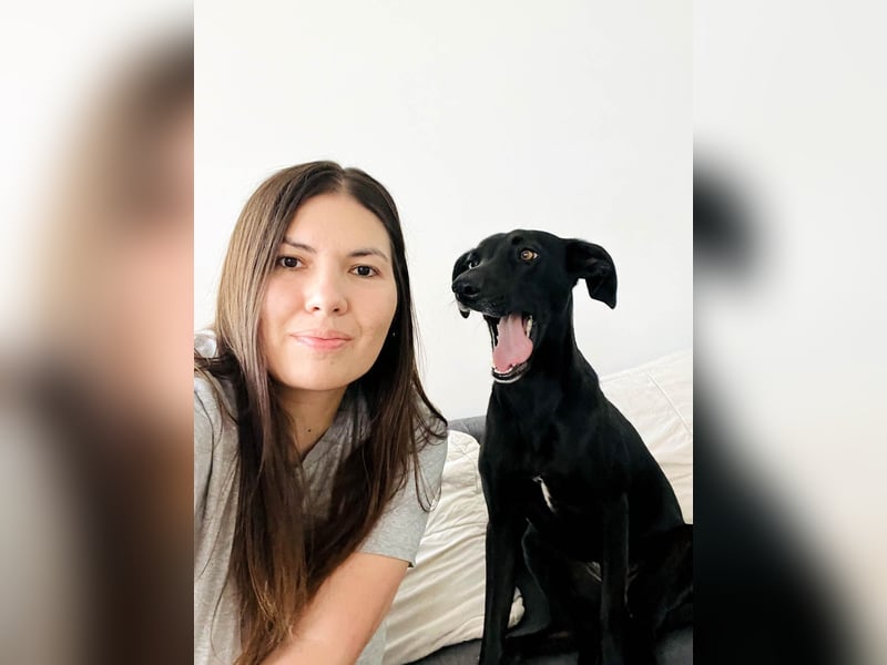 Wunderschöne Mai sucht ihre Familie