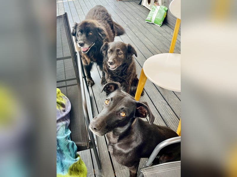 Wunderschöne Mai sucht ihre Familie