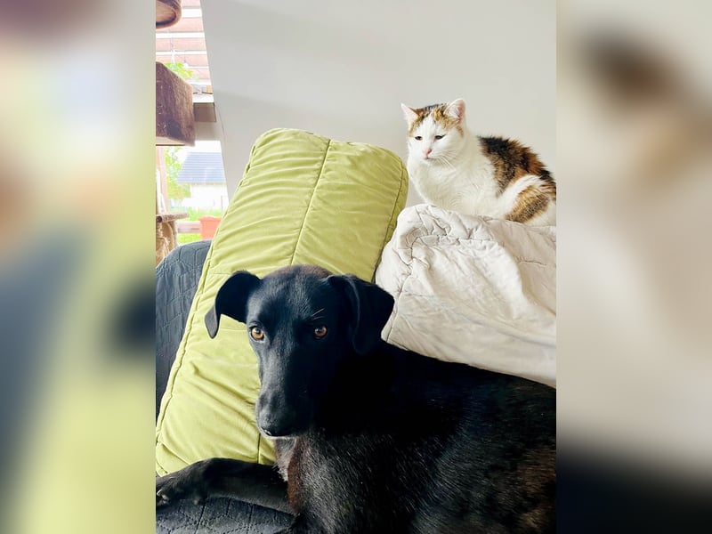 Wunderschöne Mai sucht ihre Familie