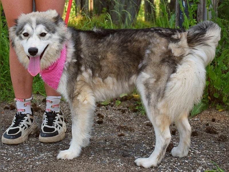 Rita Y160 ist eine wahre Frohnatur