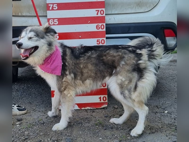 Rita Y160 ist eine wahre Frohnatur