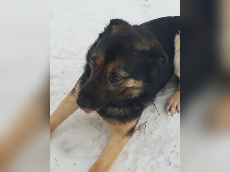 RANJA sucht ihre ZUHAUSE