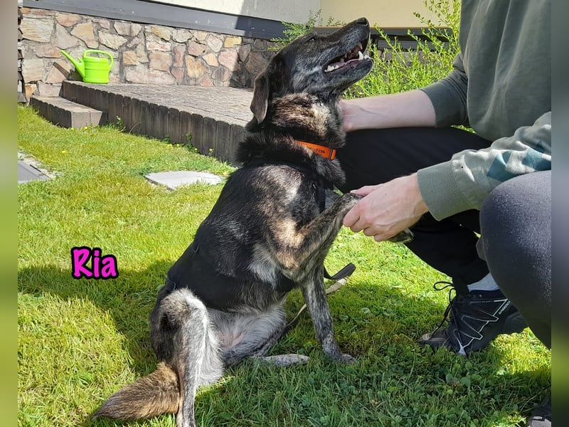 Ria geb. 07/2021 (in Deutschland) - DRINGENDER NOTFALL!
