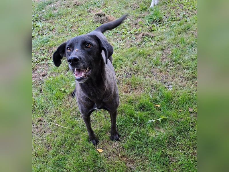 Josie