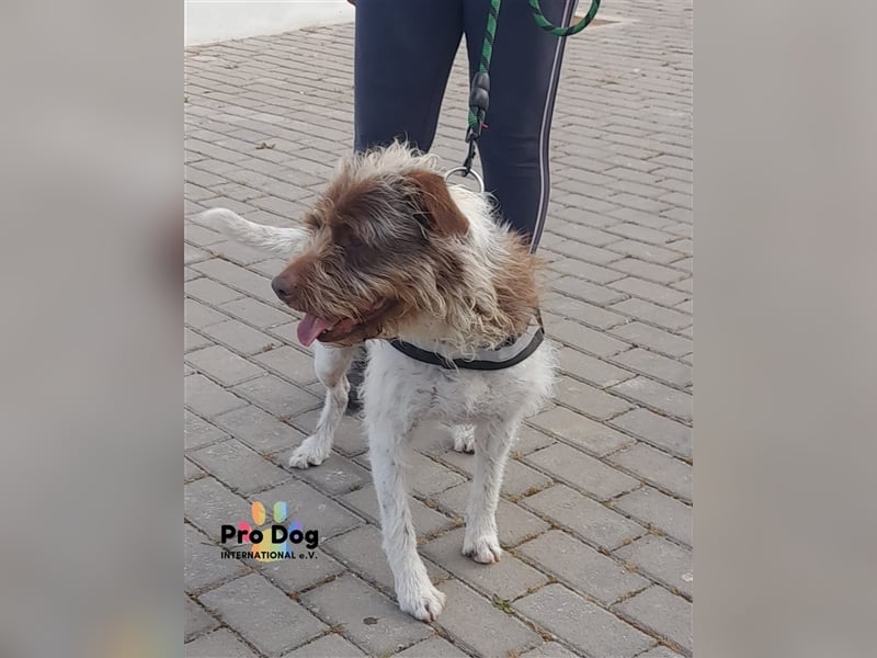 Esperanca sucht ihr Zuhause
