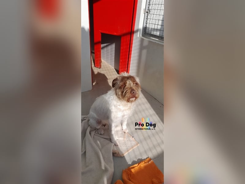Esperanca sucht ihr Zuhause