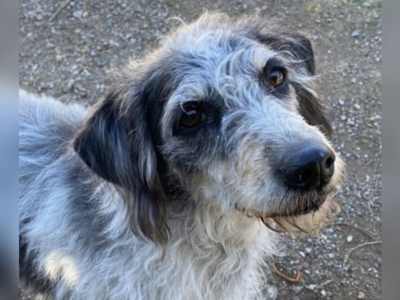 Cookie und Maya - Tochter/Mutter Dreamteam
