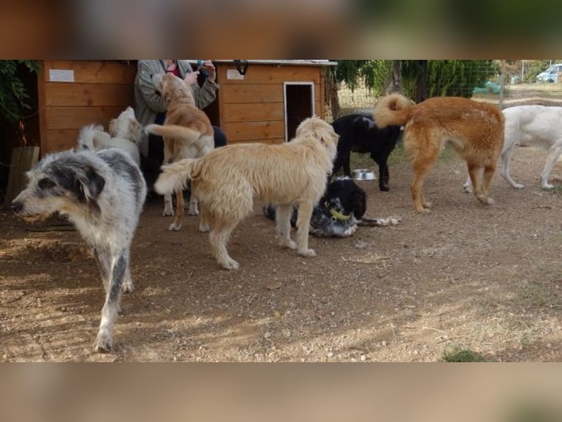 Cookie und Maya - Tochter/Mutter Dreamteam