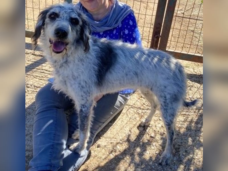Cookie und Maya - Tochter/Mutter Dreamteam