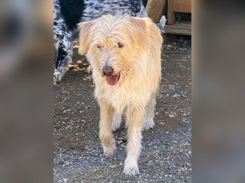 Cookie und Maya - Tochter/Mutter Dreamteam