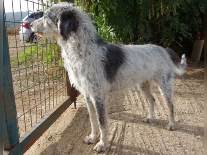 Cookie und Maya - Tochter/Mutter Dreamteam