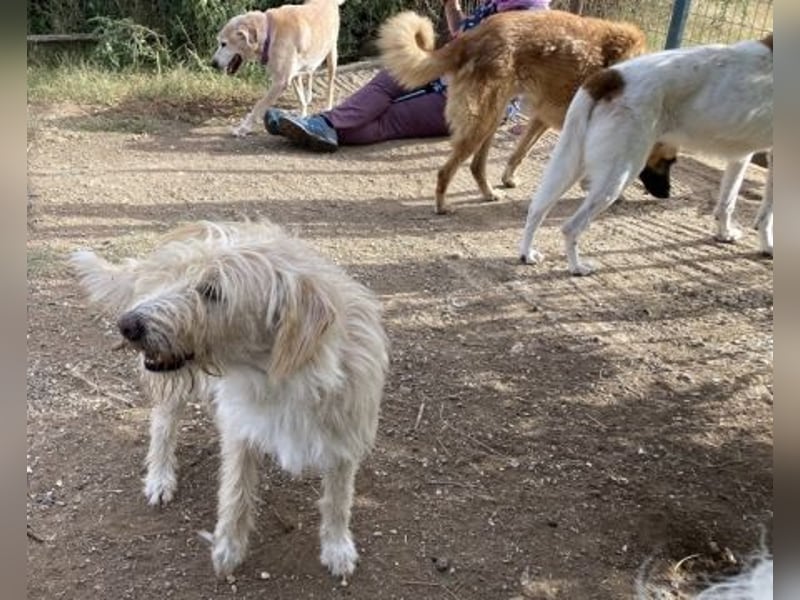 Cookie und Maya - Tochter/Mutter Dreamteam