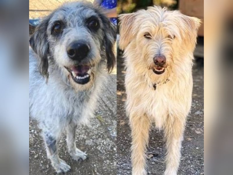 Cookie und Maya - Tochter/Mutter Dreamteam