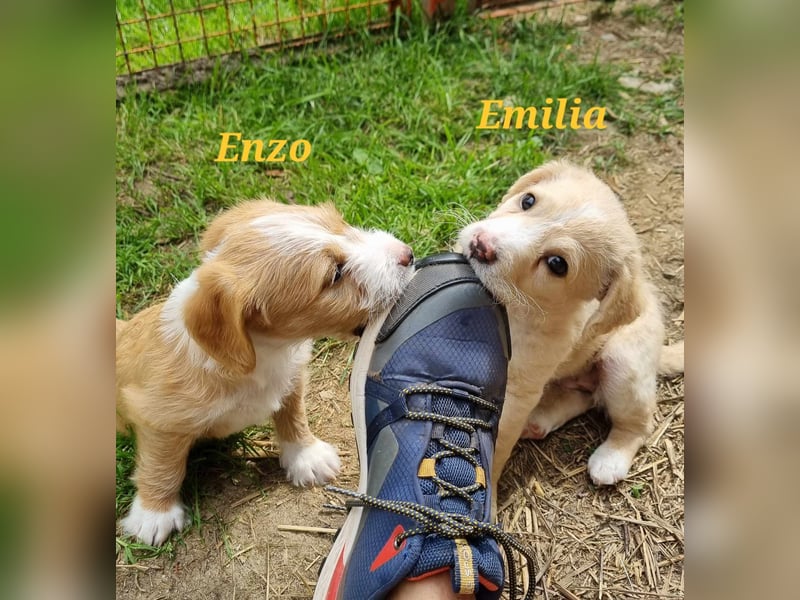 Hübsche Emilia