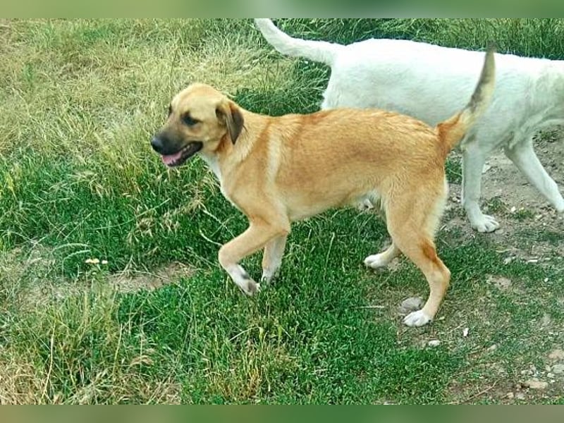 Abby,  möchte mit Dir Neues entdecken