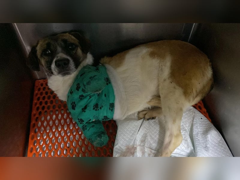 Kleine Kämpferin Kisakye sucht ihren Platz im Leben