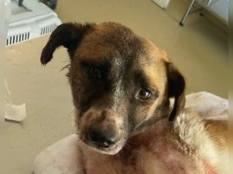 Kleine Kämpferin Kisakye sucht ihren Platz im Leben