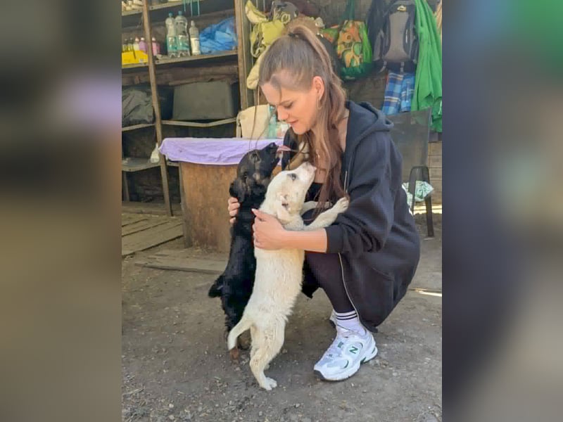 KAYA - süße Kuschelmaus sucht ein Zuhause