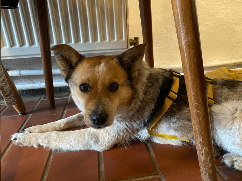 Conny sucht ihre Menschen