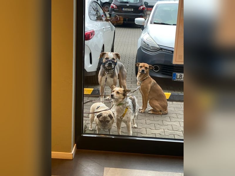 Conny sucht ihre Menschen