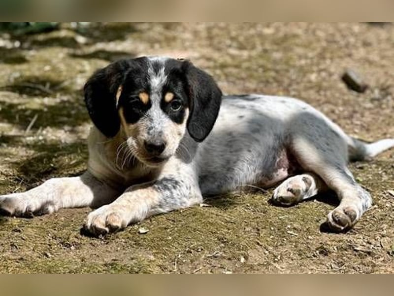 Amira möchte nie wieder im Stich gelassen werden