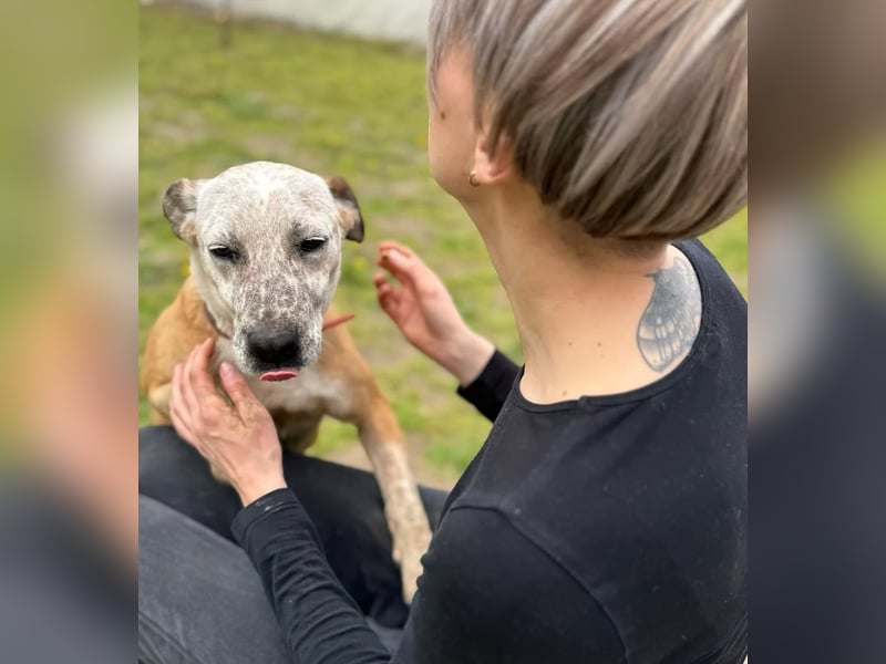 ZOE - Zarte Seele sucht Freiheit