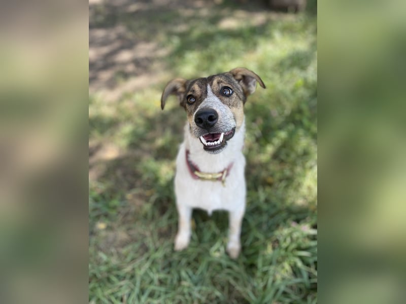 Aufgeschlossene Freya sucht liebe Familie