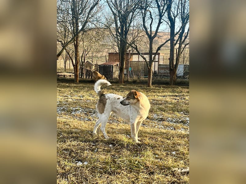 Aufgeschlossene Freya sucht liebe Familie