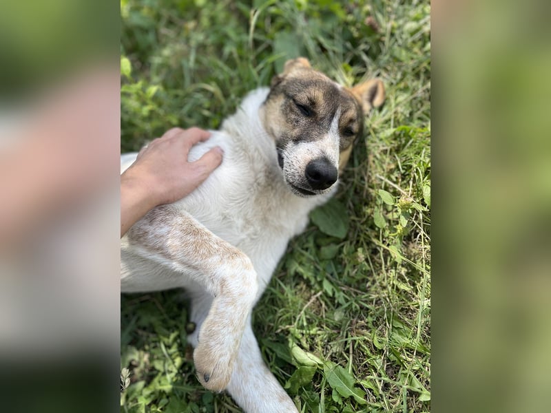 Aufgeschlossene Freya sucht liebe Familie