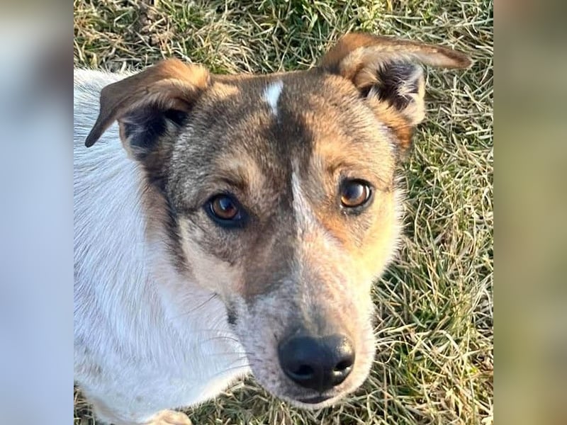 Aufgeschlossene Freya sucht liebe Familie