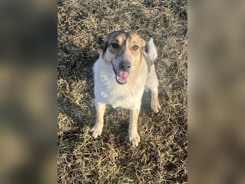 Aufgeschlossene Freya sucht liebe Familie