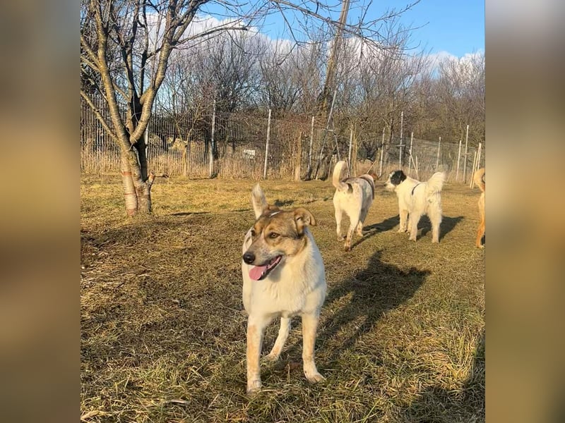 Aufgeschlossene Freya sucht liebe Familie